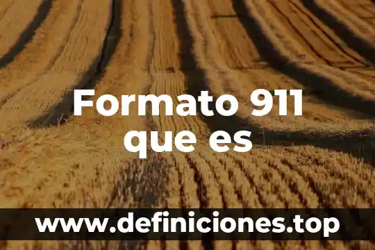Formato 911 que es