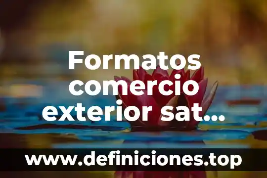 Que es un permiso al comercio exterior 7 Formatos comercio exterior sat que es
