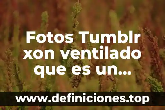 Que es el procesador word pad 6 Fotos Tumblr xon ventilado que es un procesador fe texto