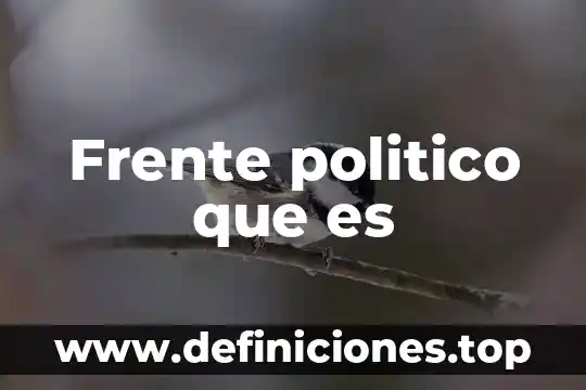 Qué es un frente cultural 5 Frente politico que es