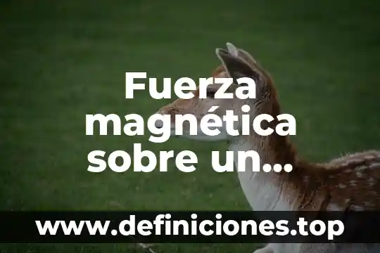 Que es una resistencia y una unidad magnética 6 Fuerza magnética sobre un conductor que es