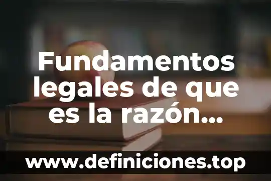 Fundamentos legales de que es la razón social