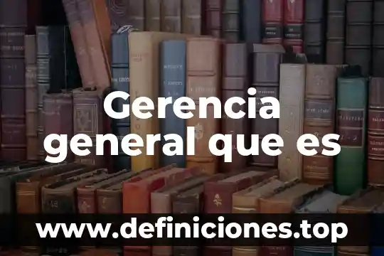 Qué es una institución en general 8 Gerencia general que es
