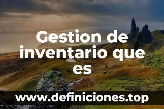 Que es inventario como activo 3 Gestion de inventario que es