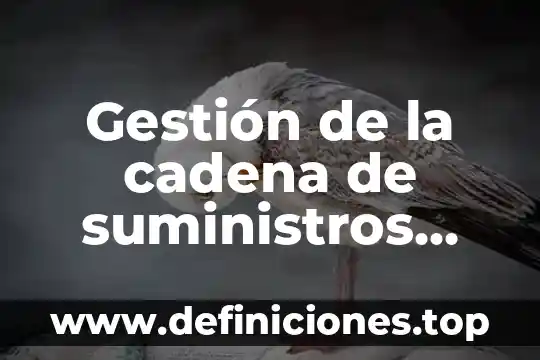 Que es una gestion de aprendizaje 3 Gesti贸n de la cadena de suministros que es un comentario