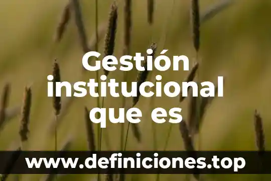 Qué es la gestión Google Académico 3 Gestión institucional que es