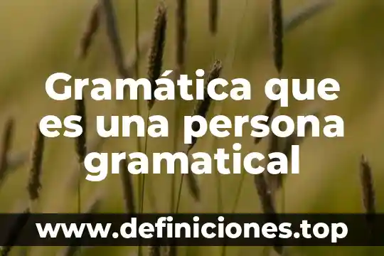 Que es un articulo elemento gramatical 4 Gramática que es una persona gramatical