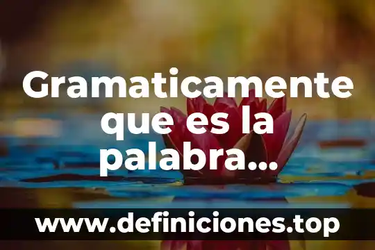 Que es una palabra irracional 5 Gramaticamente que es la palabra nacionales