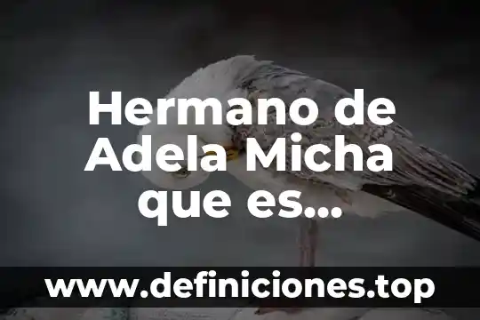 Hermano de Adela Micha que es matemático