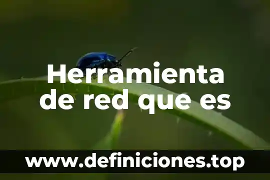 Qué es el compuesto químico 6 Herramienta de red que es