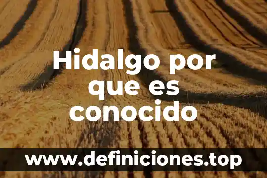 Que es epistemologia del sujeto conocido 4 Hidalgo por que es conocido