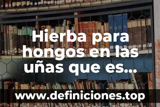 Que es la tecnica de uñas 3d 4 Hierba para hongos en las uñas que es bueno