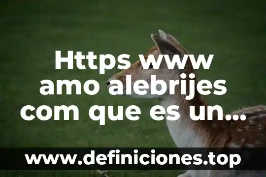 Que es com mx 5 Https www amo alebrijes com que es un alebrije