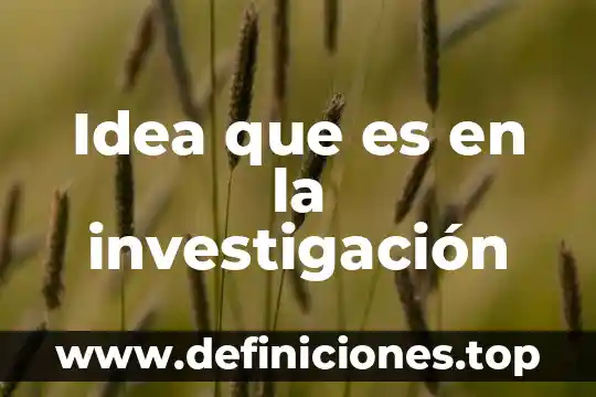 Idea que es en la investigación