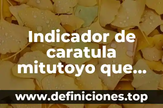 Que es dato estadisticamente 5 Indicador de caratula mitutoyo que es