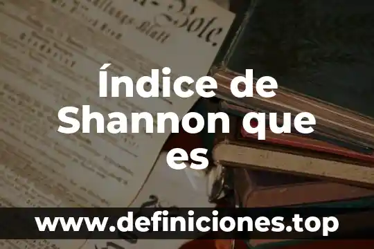 Español que es el índice 7 Índice de Shannon que es