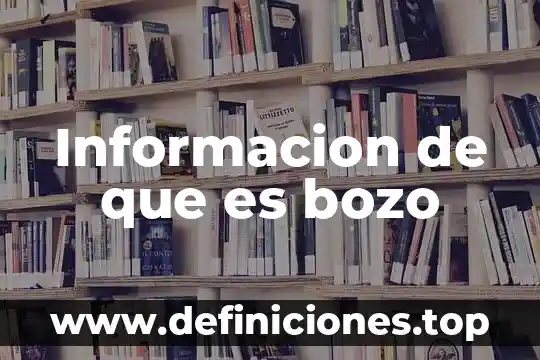 Que es la informacion registral tic 7 Informacion de que es bozo