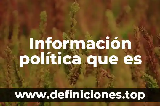 Política bancaria que es 4 Información política que es