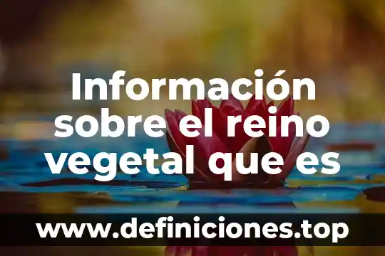 Que es el vat de reino unido 6 Información sobre el reino vegetal que es
