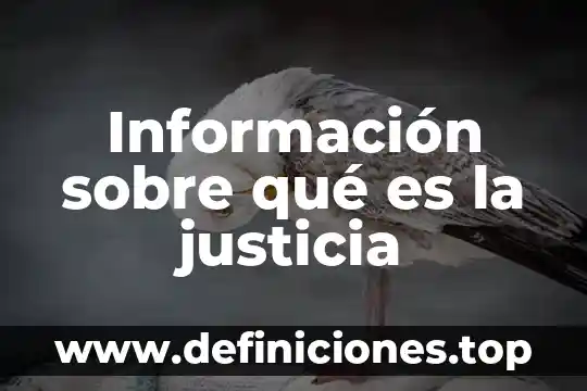 Información sobre qué es la justicia