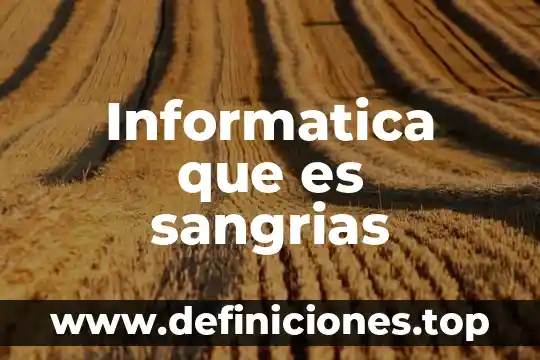 Informatica que es sangrias