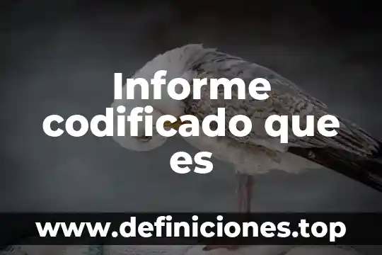 Que es un informe access 2010 8 Informe codificado que es