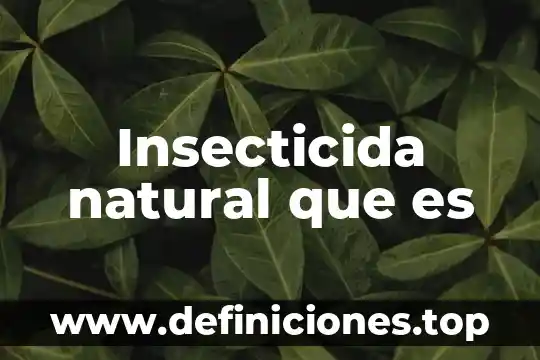 Que es desarrollo del tema ejemplo 4 Insecticida natural que es