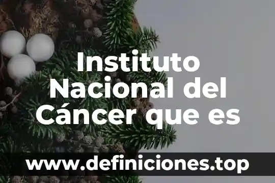 Qué es un instituto de banca múltiple México 3 Instituto Nacional del Cáncer que es