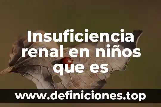 Insuficiencia renal en niños que es