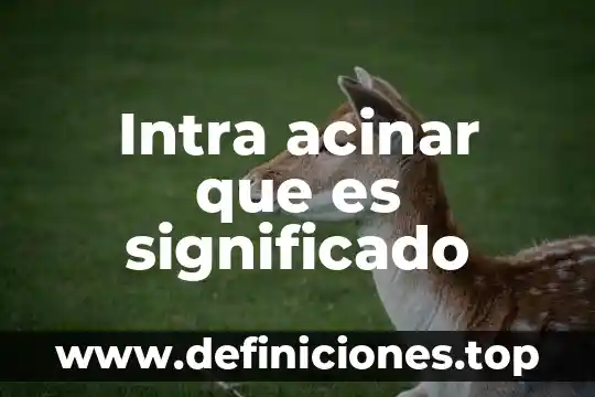 Que es ereccion significado 3 Intra acinar que es significado