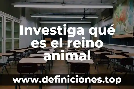 Investiga qué es el reino animal