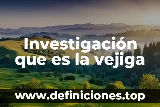 Que son los resultados de una investigacion que es 7 Investigación que es la vejiga