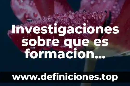Investigaciones sobre que es formacion etica