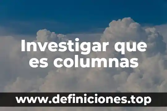 Investigar que es columnas