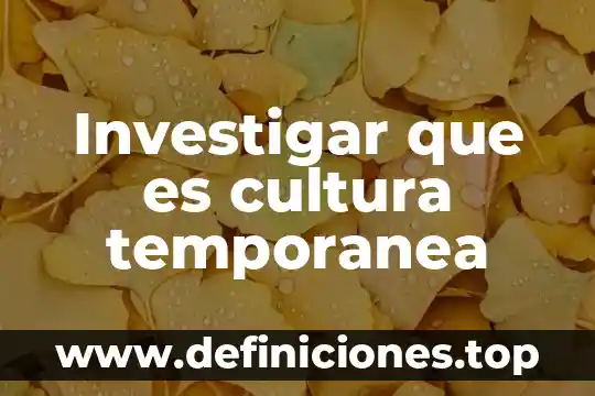 Investigar que es europa 7 Investigar que es cultura temporanea