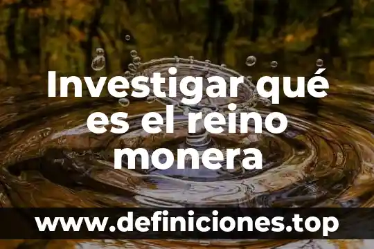 Qué es una metodología en educación 3 Investigar qué es el reino monera