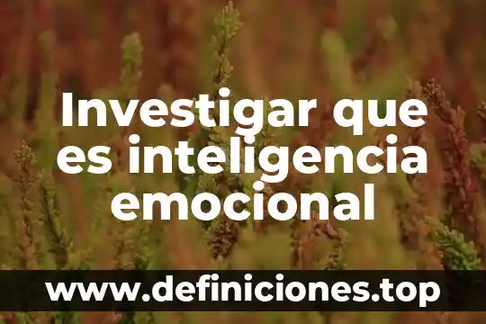 Investigar que es inteligencia emocional