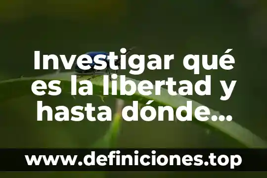 Investigar qué es la libertad y hasta dónde está permitida