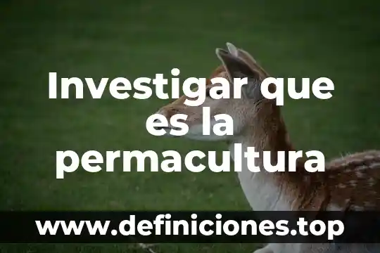Investigar que es europa 6 Investigar que es la permacultura