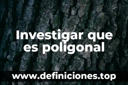 Investigar que es poligonal