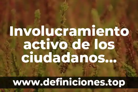 Qué es el activo corriente de una empresa 3 Involucramiento activo de los ciudadanos que es