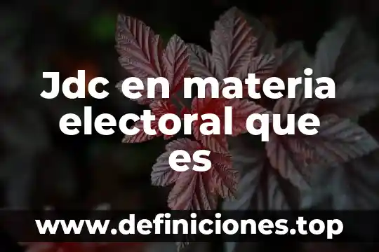 Qué es el proceso electoral federal en México 6 Jdc en materia electoral que es