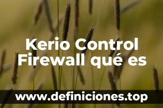 Que es un control interno de inventario 8 Kerio Control Firewall qué es