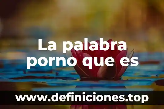 Que es la violencia de porno 5 La palabra porno que es