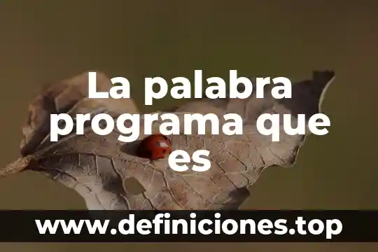 La palabra programa que es