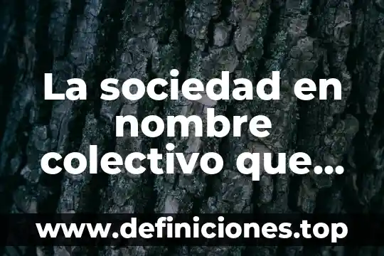 Que es el nombre trivial comun o antiguo 8 La sociedad en nombre colectivo que es