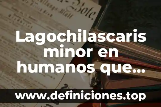 Lagochilascaris minor en humanos que es