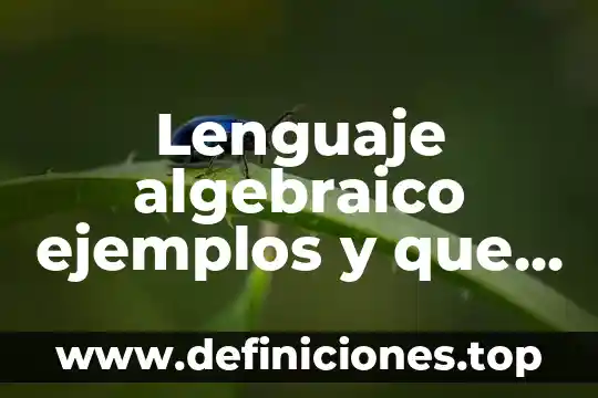 Lenguaje algebraico ejemplos y que es