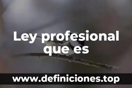 Que es un plan europeo 5 Ley profesional que es