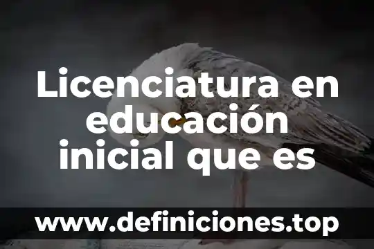 Que es visión en proyectos de inversión 3 Licenciatura en educación inicial que es